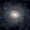NGC 3486